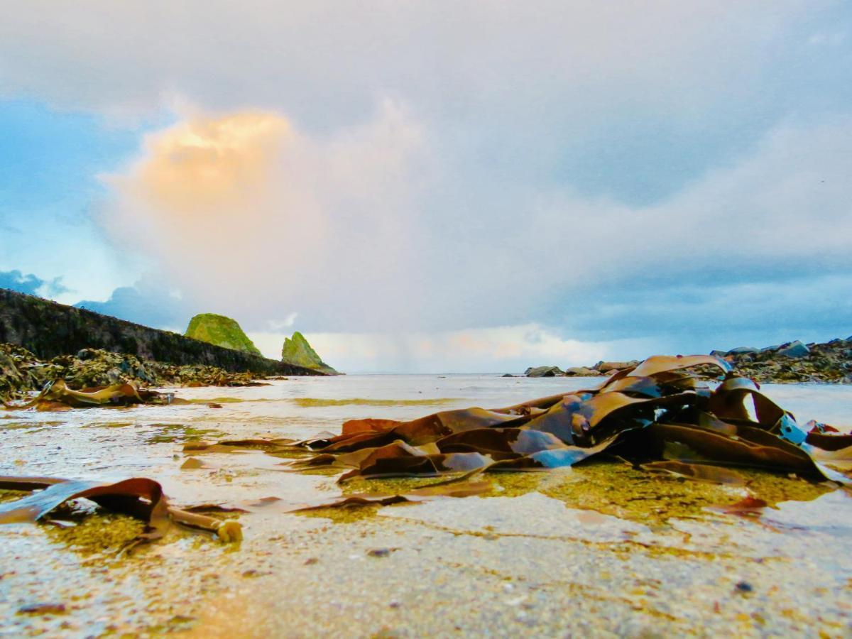 Windhaven Camping And B&B Thurso Buitenkant foto