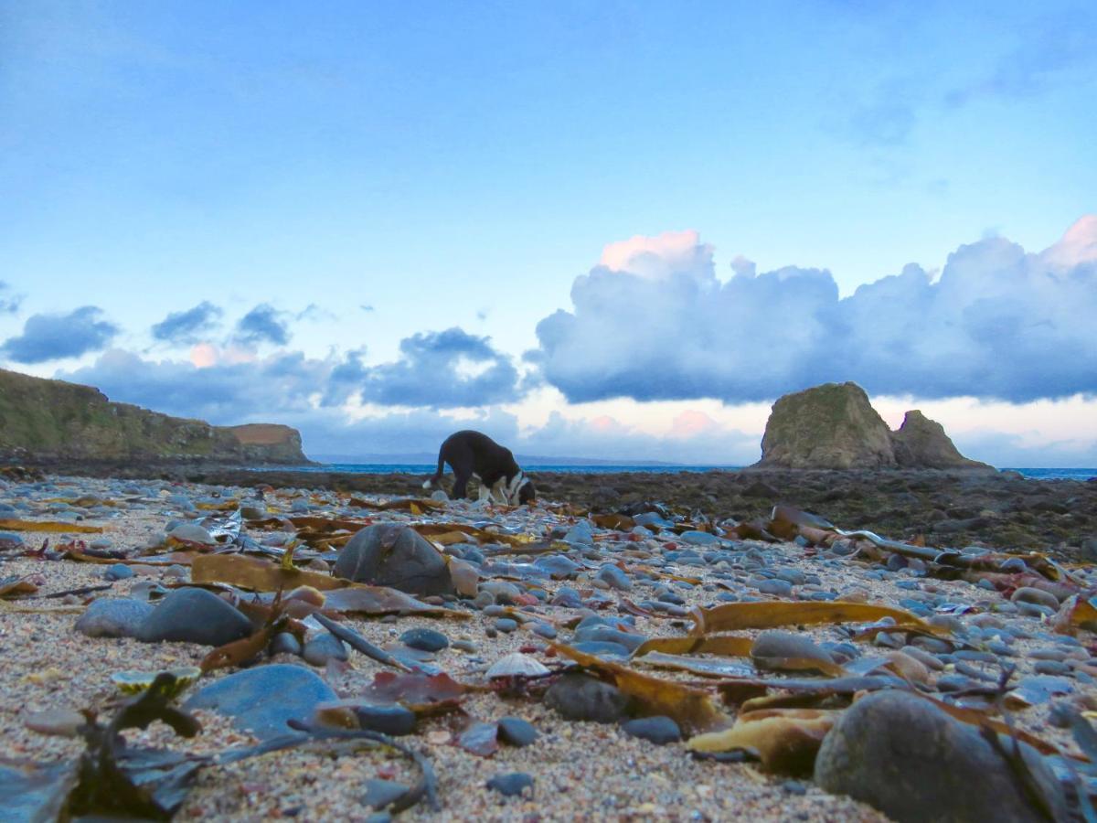 Windhaven Camping And B&B Thurso Buitenkant foto
