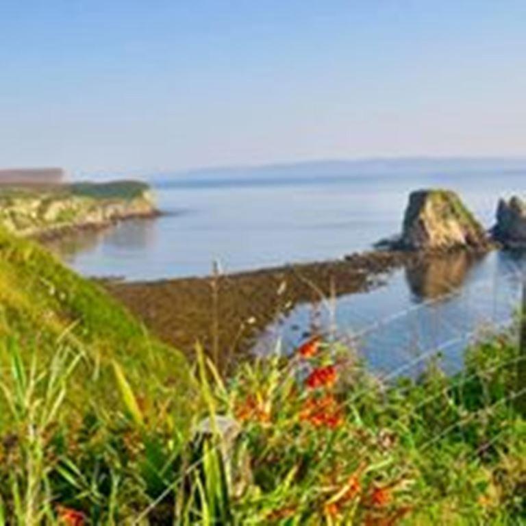 Windhaven Camping And B&B Thurso Buitenkant foto